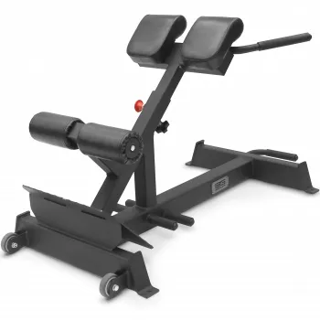 Гиперэкстензия BRONZE GYM PARTNER AL-317