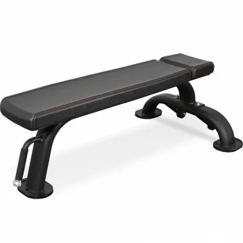Скамья горизонтальная профессиональная BRONZE GYM BR-1002