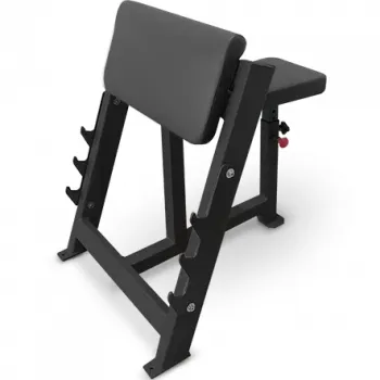 Скамья Скотта BRONZE GYM PARTNER AL-303